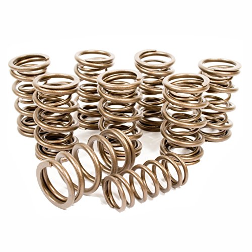 Engle Dual Valve Spring Set for VW Type 1 Engine - 6602