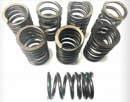 DBW Stock Valve Spring for 40-60HP VW Type 1 - 8 Pack - 113109623C