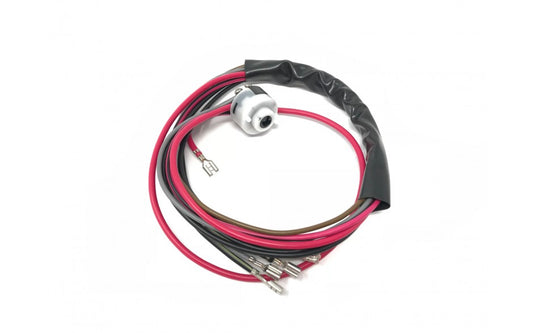 DBW Ignition Switch Electric Assembly for 71 Beetle and 71-74 Bus - 111905865F